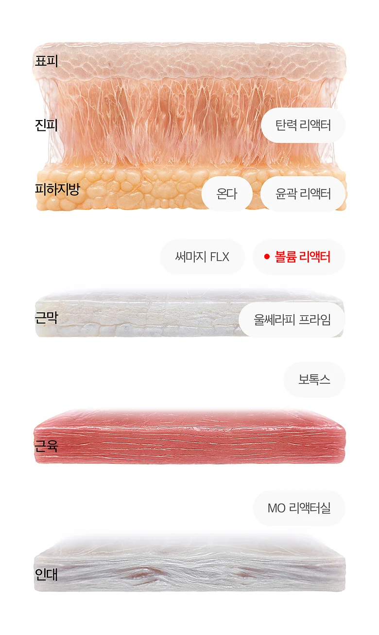 피부 단면도